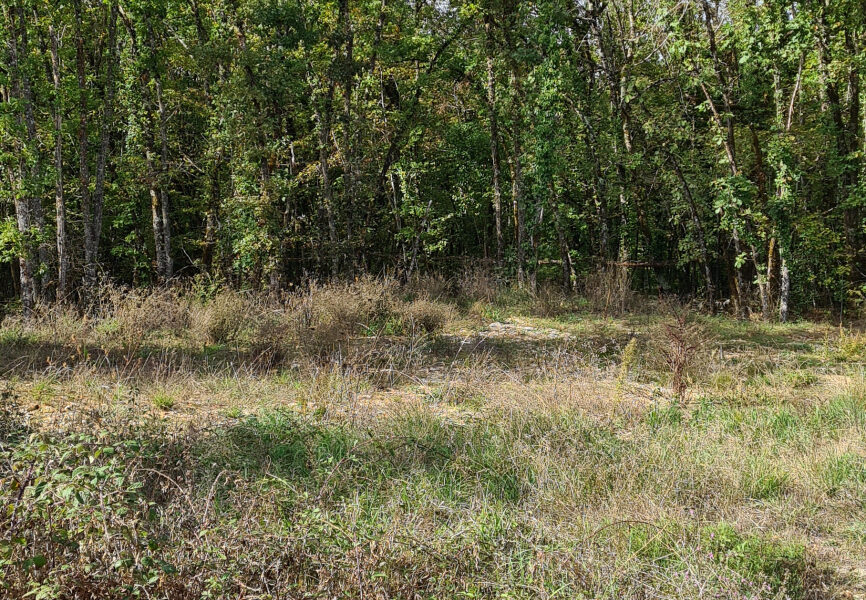 Terrain à vendre à Chartrier-ferrière