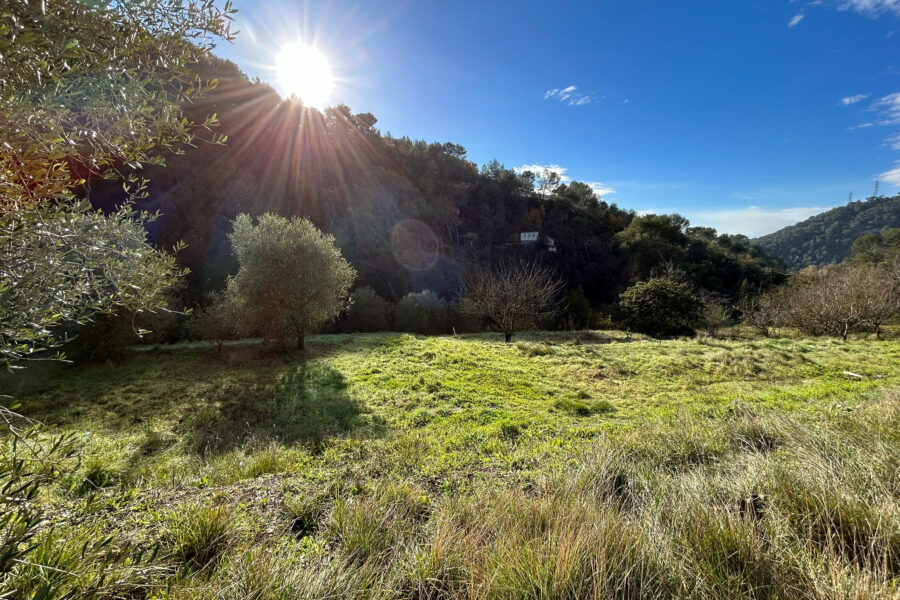 Terrain à vendre à Drap