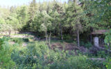 Terrain à vendre à Colmars