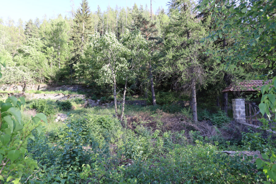 Terrain à vendre à Colmars