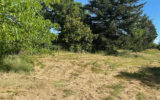 Terrain à vendre à Bourg-le-comte
