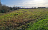 Terrain à vendre à Estang