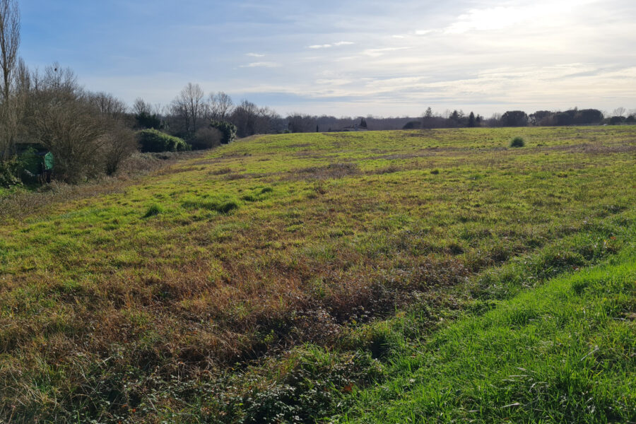 Terrain à vendre à Estang