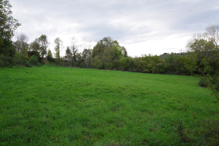 Terrain à vendre à Sauviat