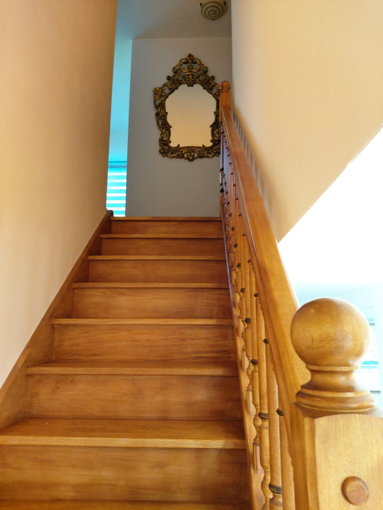 COUP DE COEUR LA BAUCHE (73) : maison chalet avec trois cham – 4 pièces – 3 chambres – 133.98 m²