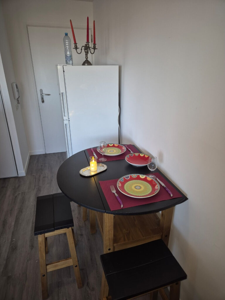 Appartement type1 meublé et loué avec terrasse et garage – 1 pièce – NR chambres – 28 m²