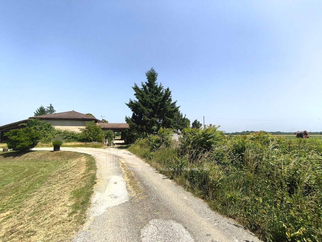 Saint Bonnet de Chavagne- Corps de Ferme 163 m2 – Terrain 49 – 6 pièces – 5 chambres – 163 m²