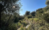 Terrain à vendre à Nice