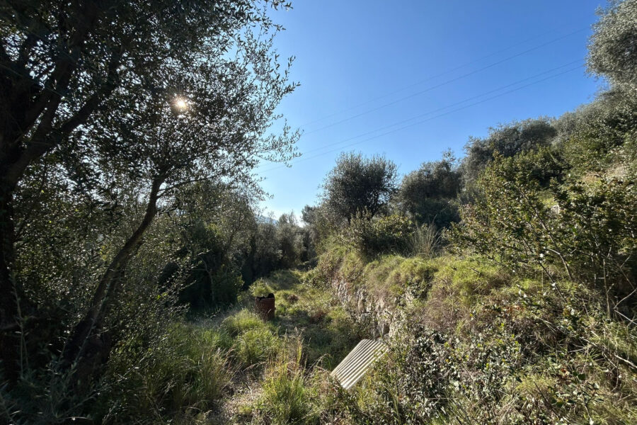Terrain à vendre à Nice