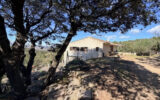 Grand terrain – Idéal amoureux de la nature – – 3 pièces – 2 chambres – 90 m²