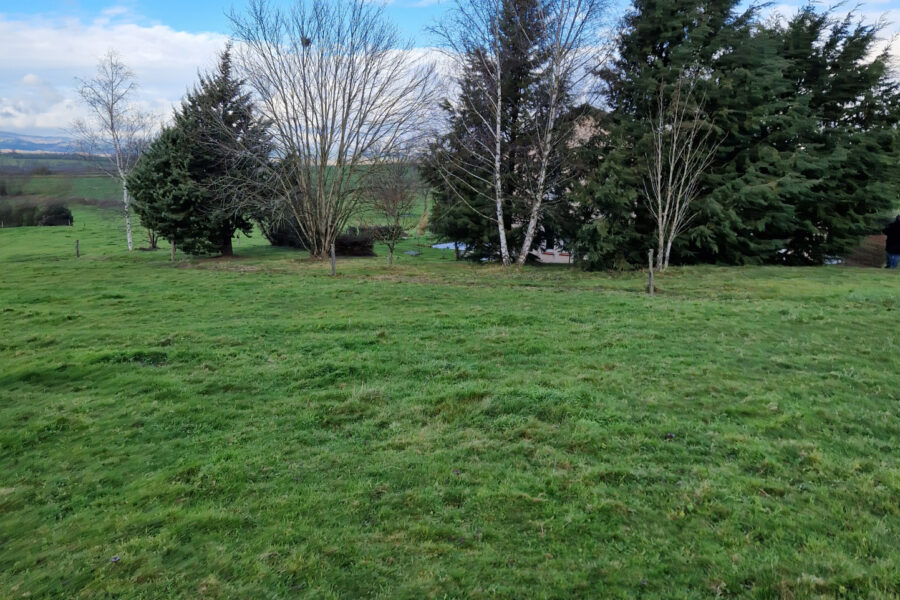 Terrain à vendre à Curgy