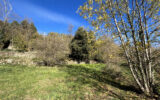 Terrain à vendre à Corsavy — Vue nature — photo 3