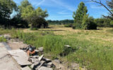 Terrain à vendre à Bourg-le-comte
