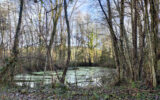 Terrain à vendre à Joigny