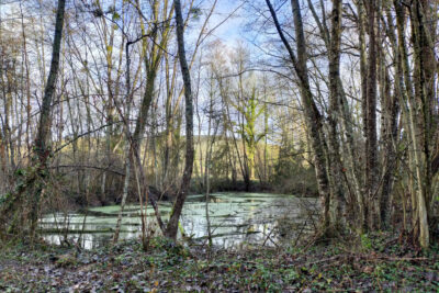 Terrain à vendre à Joigny