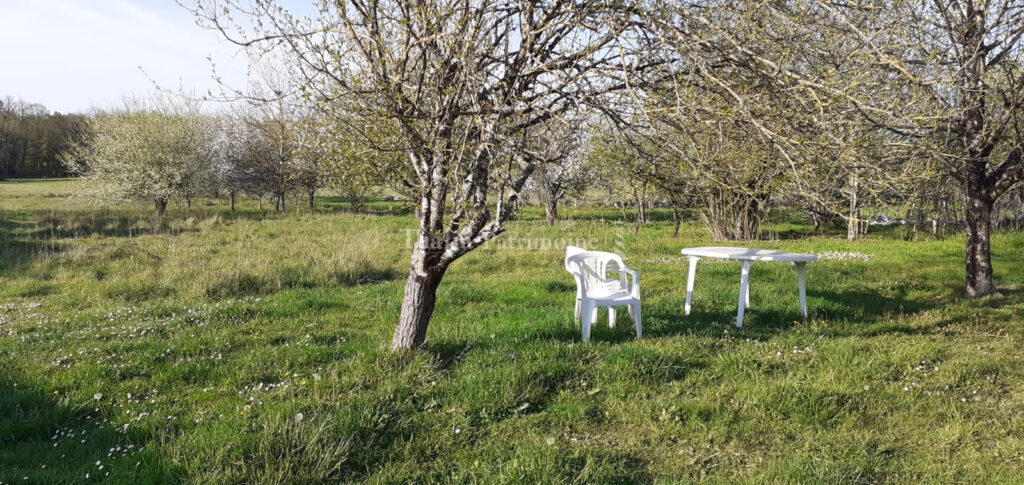 Propriété avec gîte et dépendances dans un paisible hameau e – 9 pièces – 5 chambres – 215 m²