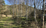 Terrain à vendre à Retournac