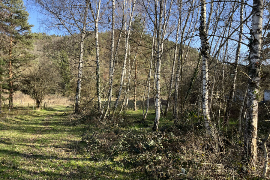 Terrain à vendre à Retournac