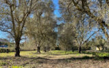 Terrain à vendre à Roquebrune-sur-argens