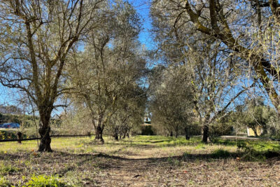 Terrain à vendre à Roquebrune-sur-argens
