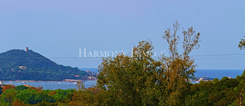 Pietrosella. Villa sur le toit . à  5 min de la plage d&rsquo;Ago – 4 pièces – 3 chambres – 113 m²