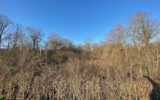 Terrain à vendre à Luneau
