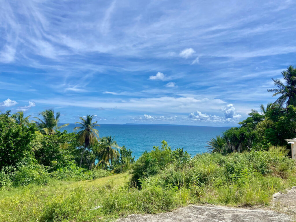 TERRAIN EN 1ÈRE LIGNE – VUE MER – QUARTIER PRISÉ – NR pièces – NR chambres – 2170 m²
