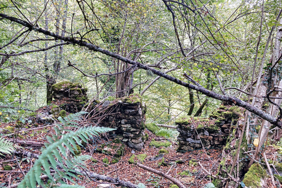 Terrain à vendre à Aulus-les-bains