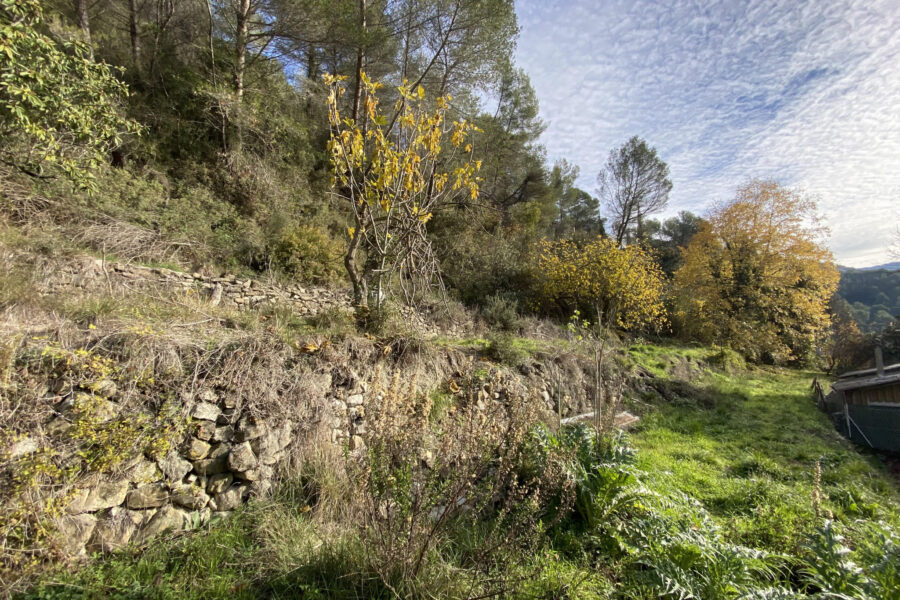 Terrain à vendre à Cantaron