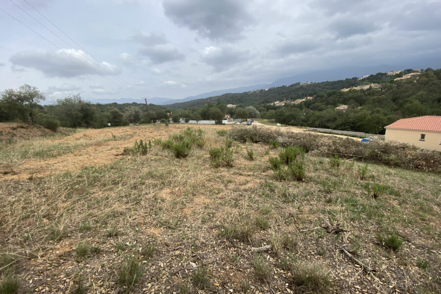 Terrain à vendre à Vivès