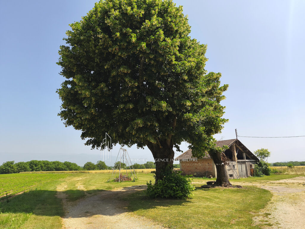 Saint Bonnet de Chavagne- Corps de Ferme 163 m2 – Terrain 49 – 6 pièces – 5 chambres – 163 m²
