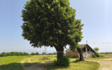 Saint Bonnet de Chavagne- Corps de Ferme 163 m2 – Terrain 49 – 6 pièces – 5 chambres – 163 m²