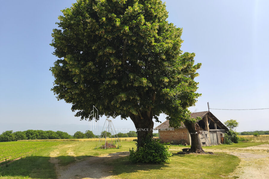Maison à vendre à Saint-bonnet-de-chavagne
