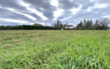 Terrain à vendre à Maslacq