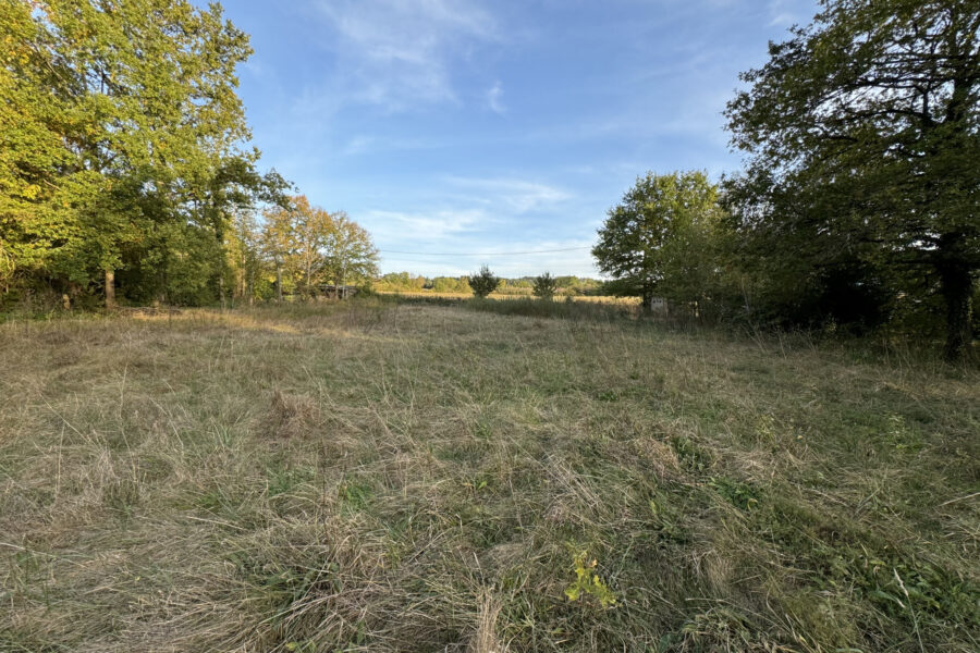 Terrain à vendre à Sugères