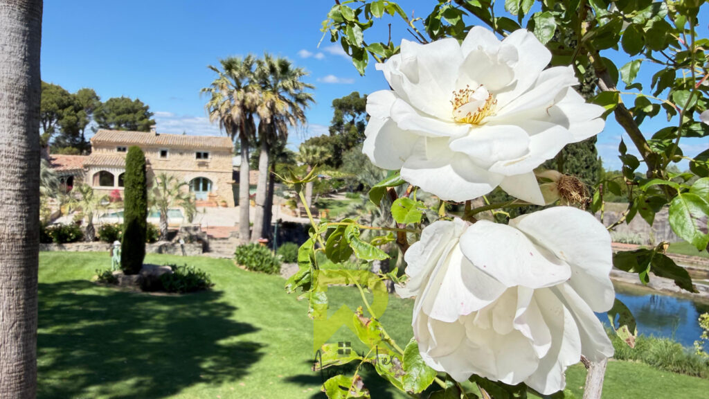 Propriété d&rsquo;exception   Jardin remarquable sur 12 hectares   – 6 pièces – 7 chambres – 206 m²