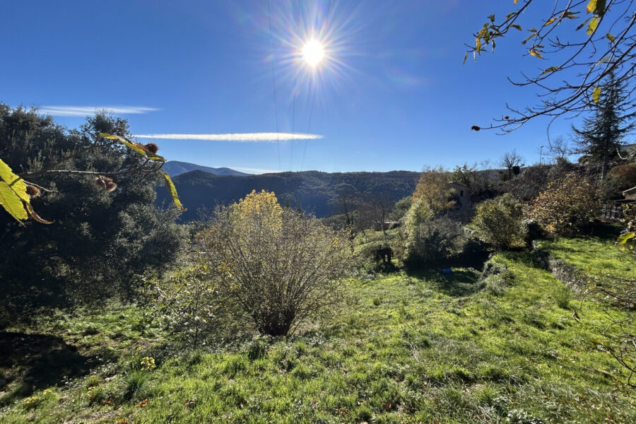 Terrain à vendre à Corsavy — Vue nature — photo 7
