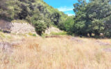 Terrain à vendre à Vaison-la-romaine
