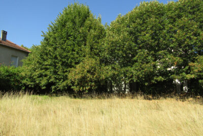 Terrain à vendre à Condorcet