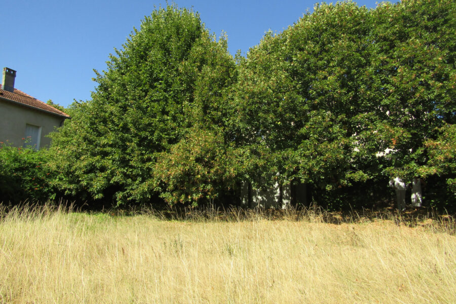 Terrain à vendre à Condorcet