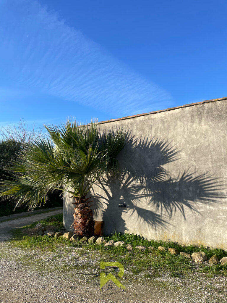 Insolite MAS  à fort potentiel  Coup de coeur assuré ! – 8 pièces – 7 chambres – 294 m²