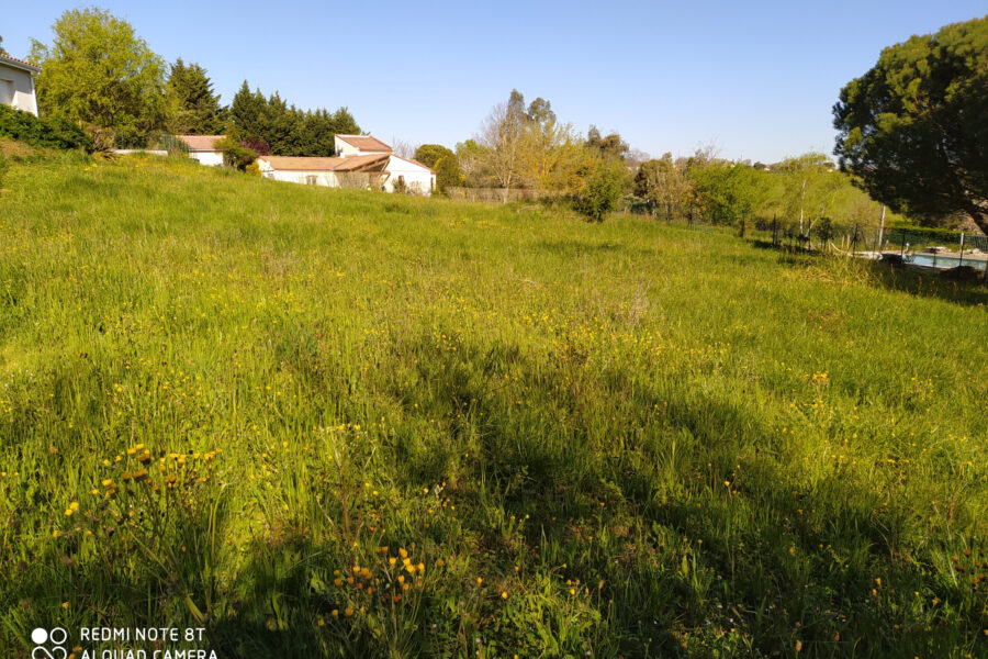 Terrain à vendre à Lézat-sur-lèze