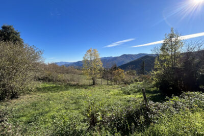 Terrain à vendre à Corsavy