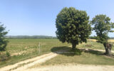 Saint Bonnet de Chavagne- Corps de Ferme 163 m2 – Terrain 49 – 6 pièces – 5 chambres – 163 m²