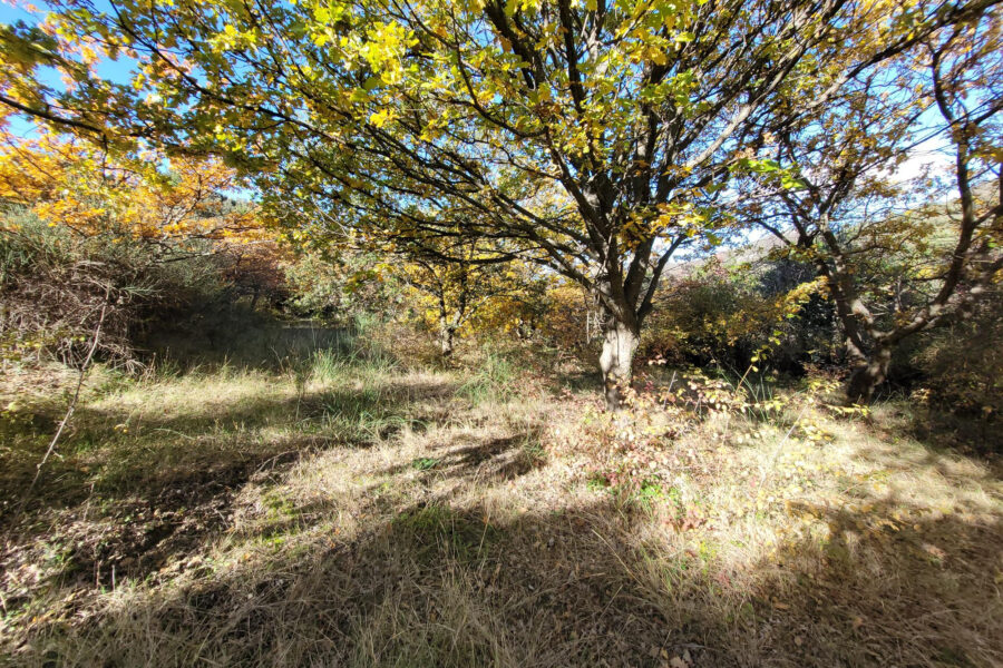 Terrain à vendre à Le pègue