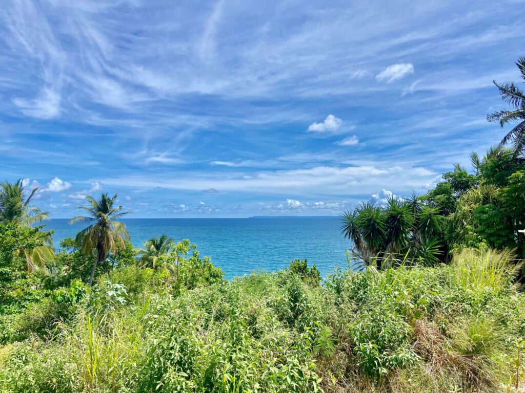TERRAIN EN 1ÈRE LIGNE – VUE MER – QUARTIER PRISÉ – NR pièces – NR chambres – 2170 m²