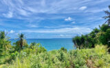 TERRAIN EN 1ÈRE LIGNE – VUE MER – QUARTIER PRISÉ – NR pièces – NR chambres – 2170 m²