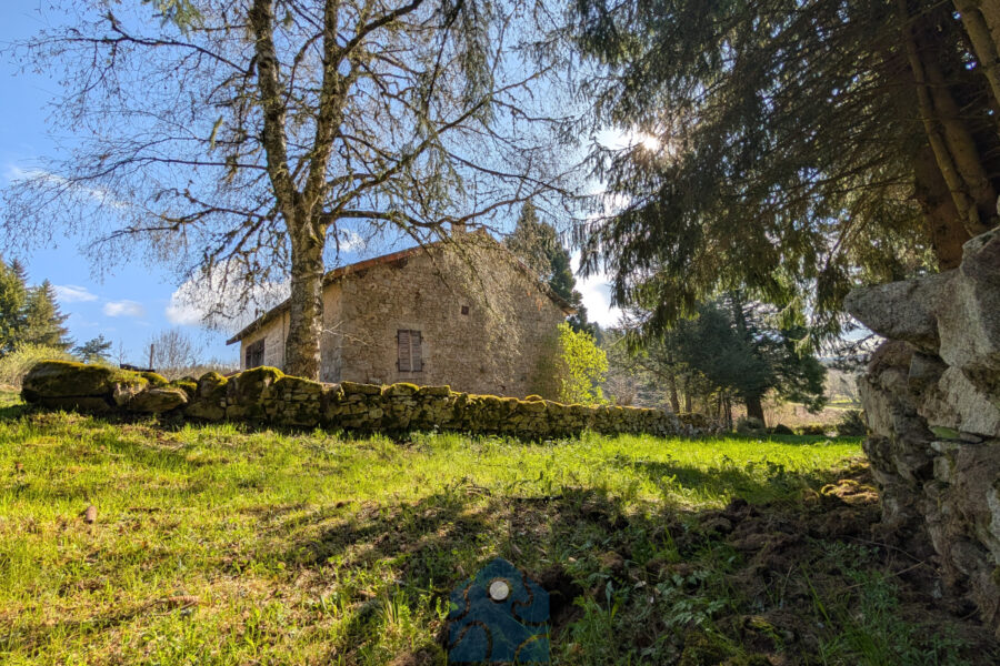 Maison à vendre à Fournols