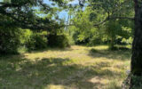Terrain à vendre à Bourg-le-comte
