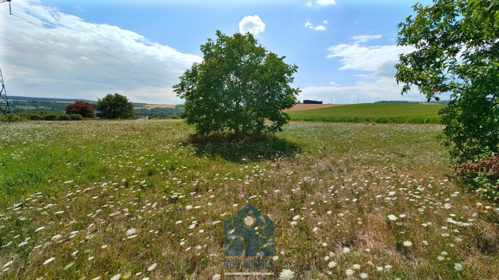 Terrain constructible 7210 M2 – NR pièces – NR chambres – 7210 m²